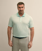 Men Performance Series Big & Tall Microstripe Polo Shirt