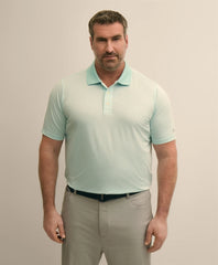 Men Performance Series Big & Tall Microstripe Polo Shirt